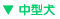 中型犬