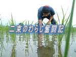 񑩂̂炶L 