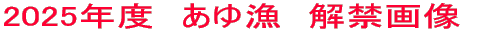 2012Nx@䋙@։摜