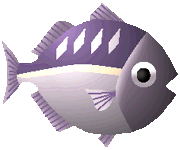 マグロの絵