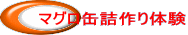 �}�O���ʋl���̌�